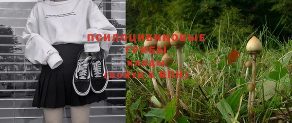 mdpv Бугульма
