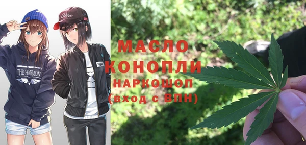 индика Богданович
